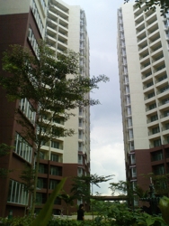 Dsc00145_thumb