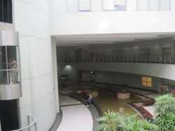 Img_2961_thumb