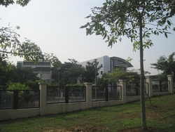 Img_2977_thumb