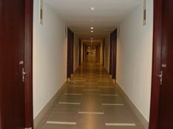 Sany0559_thumb