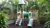 04_tiny_thumb