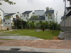 240420101570_thumb
