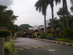 26042010564_thumb