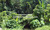 Imag2628_tiny_thumb