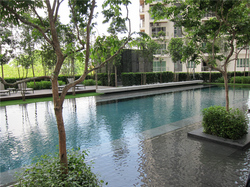 Poolside-d_thumb