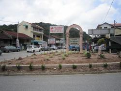 Tringkap_thumb