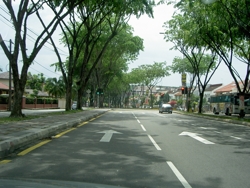Pict5564_thumb