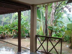 Sany2518_thumb