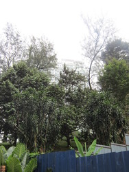 Img_2331_thumb