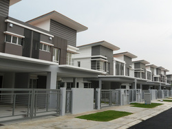 Phylantus2_thumb