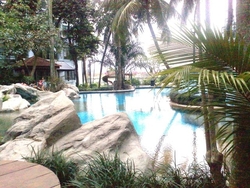 202_pool_1_thumb
