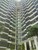Photo_0332_tiny_thumb