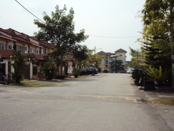Dsc03305_thumb