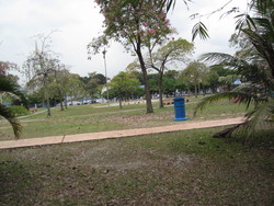 Img_4446_thumb