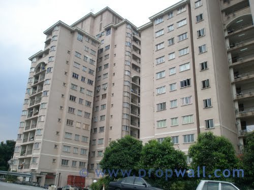 Kojaya_view
