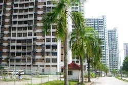 Majestic_heights__3__thumb