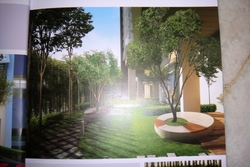 Garden_3_thumb
