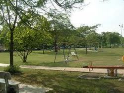 Images__1__thumb