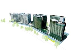 Subang_olives_thumb