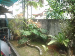 20120923_152115_thumb