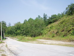 P3240023_thumb