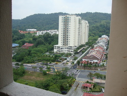 Dsc06250_thumb