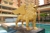 B9ae1e01e09d428bb1697f6ec3bd3da6_l_tiny_thumb