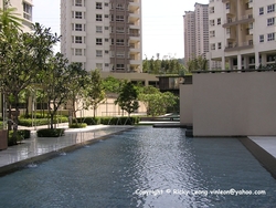 Hijauan_kiara__4__thumb