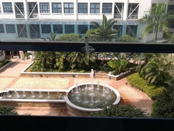 Photo_2_thumb