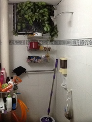 Photo_2_thumb