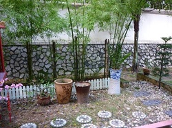 Garden_thumb