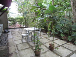 Img_5823_thumb