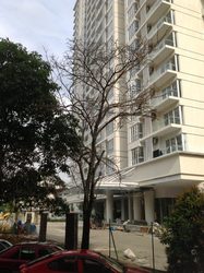 Setapak_green_5_thumb