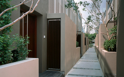 Damai33_photo05_thumb