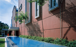Damai33_photo03__1__thumb