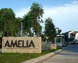 Amelia_2_thumb