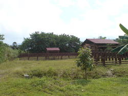 Dsc00522_thumb
