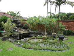 Fish_pond_2_thumb