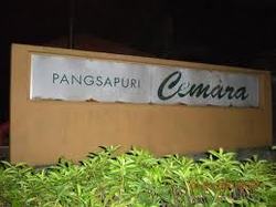 Cemara_thumb