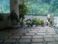 Image103_thumb