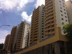 Photo_1_thumb