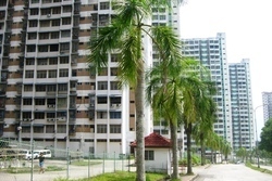 Majestic_heights__3__thumb_thumb