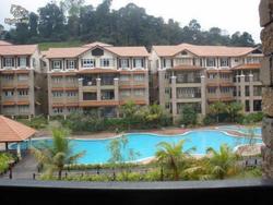 D_rimba_7_thumb