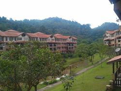 D_rimba_6_thumb