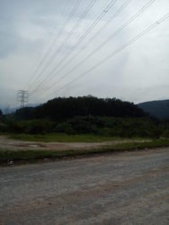 Dsc00086_thumb
