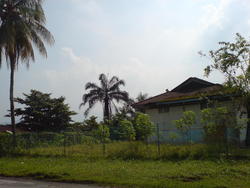 Dsc00541_thumb