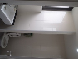 C-6-19toilet_thumb
