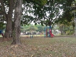 2013-04-22_13.02.26_thumb