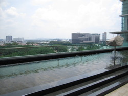 Img_0305_thumb