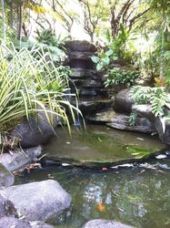 Img_0037_thumb